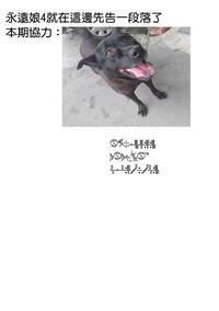 第31頁圖
