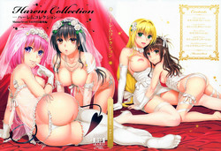 ハーレムコレクション图