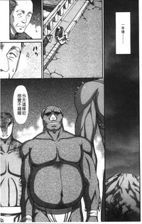 第223頁圖