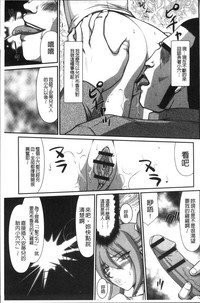 第43頁圖