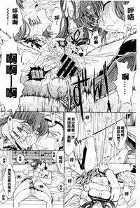 第255頁圖