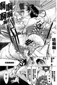 第295頁圖