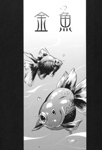 第23页图