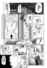 第31頁圖