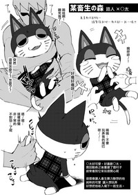 第11页图