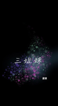 第219頁圖