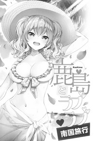 第3页图