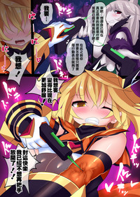 第219頁圖