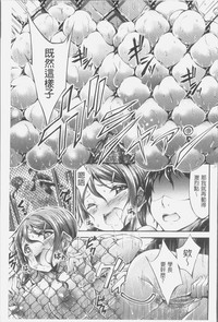 第135頁圖