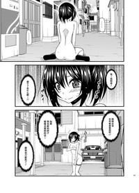 第223頁圖