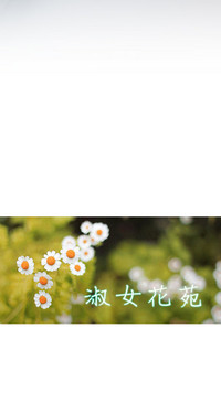 第135頁圖