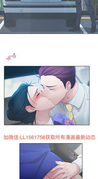 第223頁圖