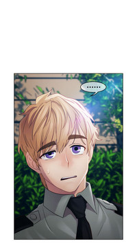 第519頁圖