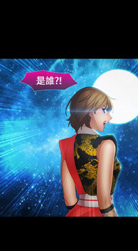 第219頁圖