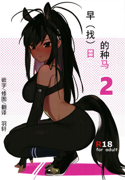 サラブレットアーリーデイズ2圖