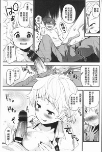 第135頁圖