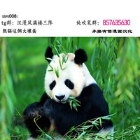 第55頁圖