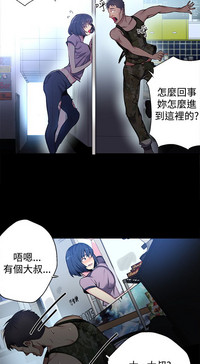 第295頁圖