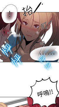 第335頁圖
