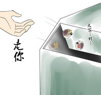 第51頁圖