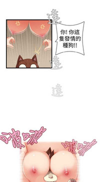 第335页图