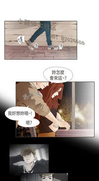 第291页图
