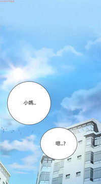 第223頁圖