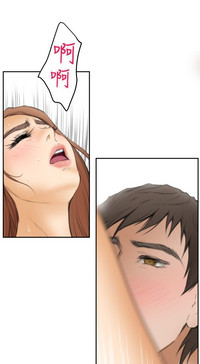 第447頁圖