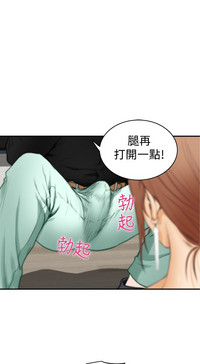 第511頁圖