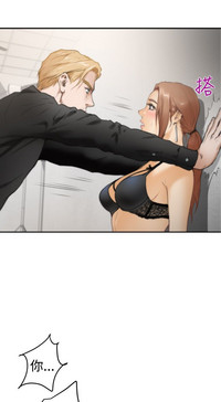 第515頁圖