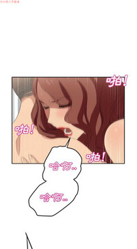 第479頁圖
