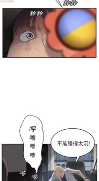 第543頁圖