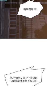 第619頁圖
