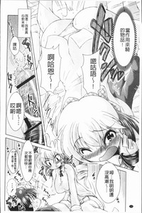 第147頁圖
