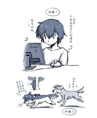 第11页图