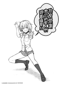 第219頁圖