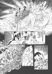第171頁圖
