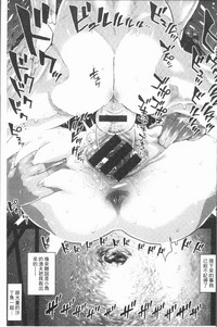 第79頁圖