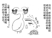 第19页图