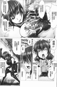 第127頁圖
