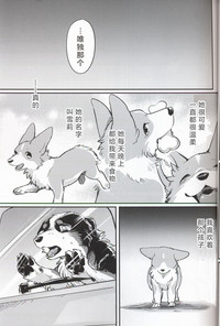 第11页图
