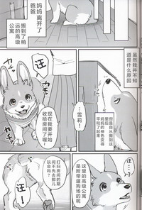 第15页图