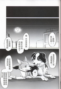 第27页图