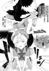 第11頁圖