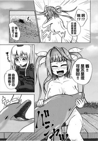 第11页图