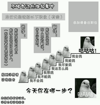 第47頁圖