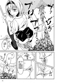 第91頁圖