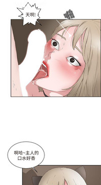 第439頁圖