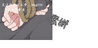 第511頁圖
