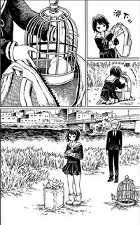 第19页图